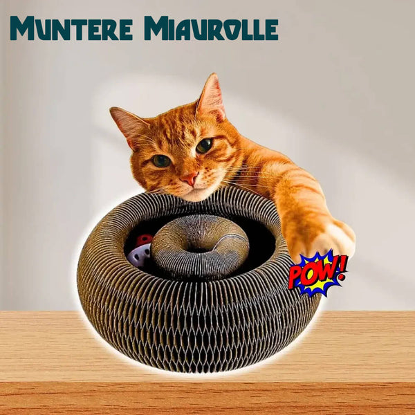 Muntere Miaurolle
